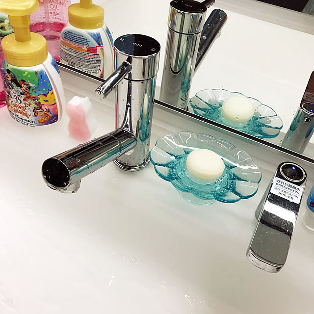 papilipmarineさんの実例写真