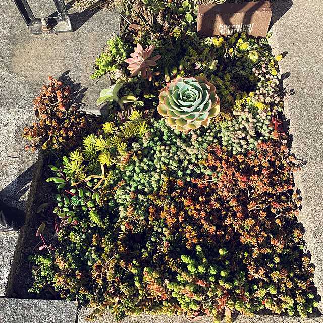 yumさんの実例写真