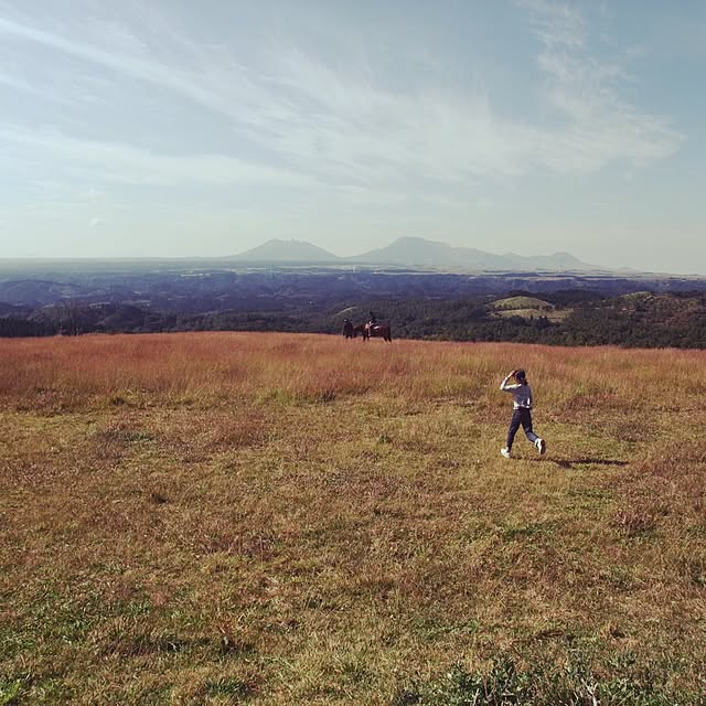 mikasaさんの実例写真