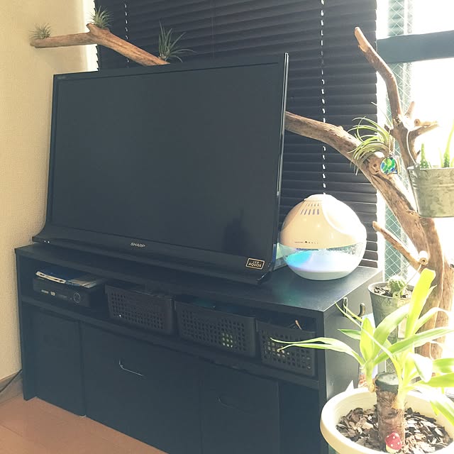 Shuheiさんの実例写真