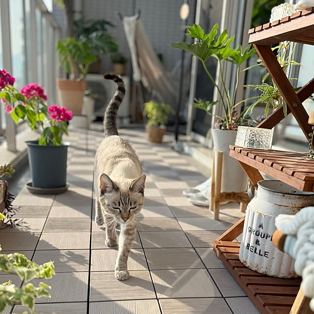 amさんの実例写真