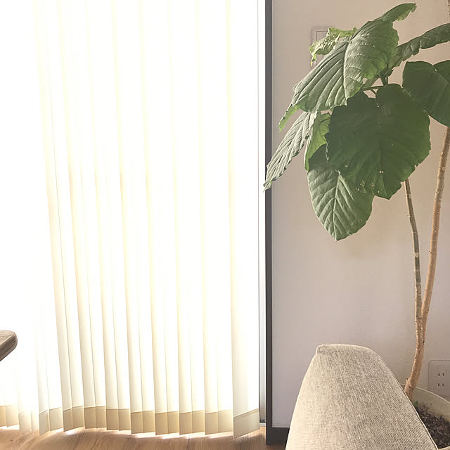 n.sae.newさんの実例写真