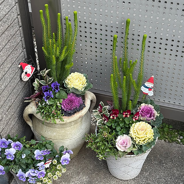 maayaさんの部屋