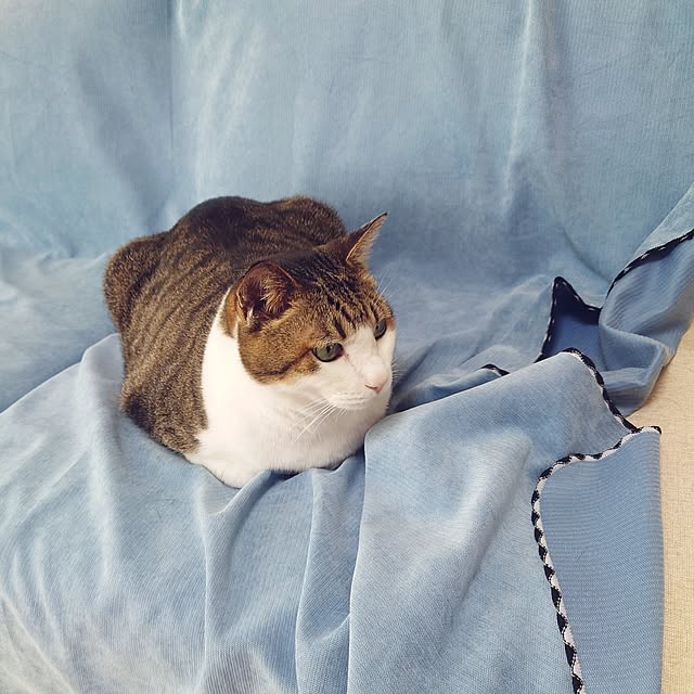 nachiさんの部屋