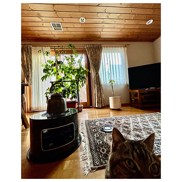 botanさんの実例写真