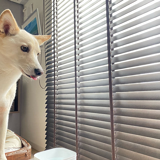 tanboさんの実例写真
