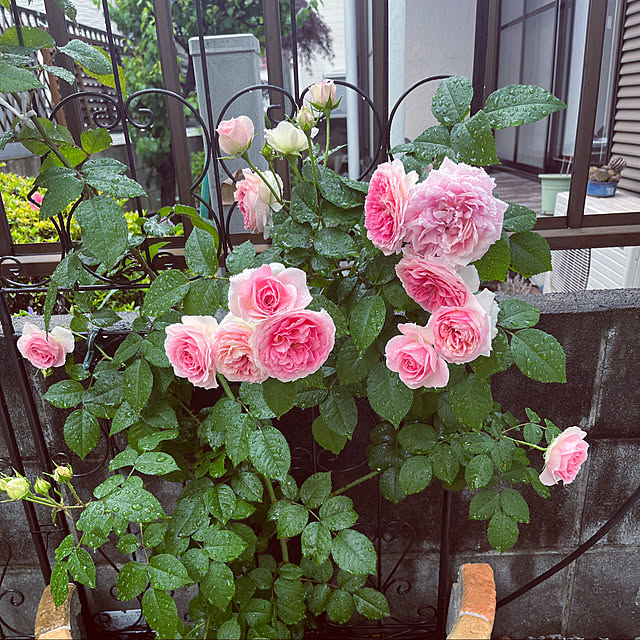 lunaさんの実例写真