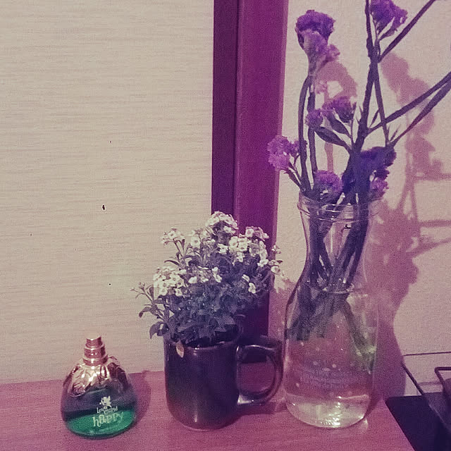 机/セリア/観葉植物のインテリア実例 - 2019-02-12 06:12:36