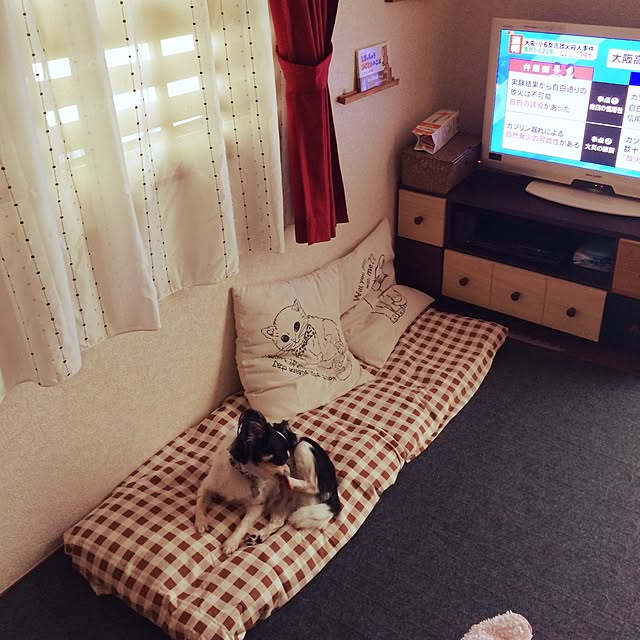 Mayさんの実例写真