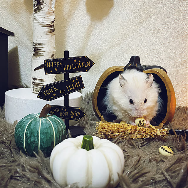 emiさんの実例写真