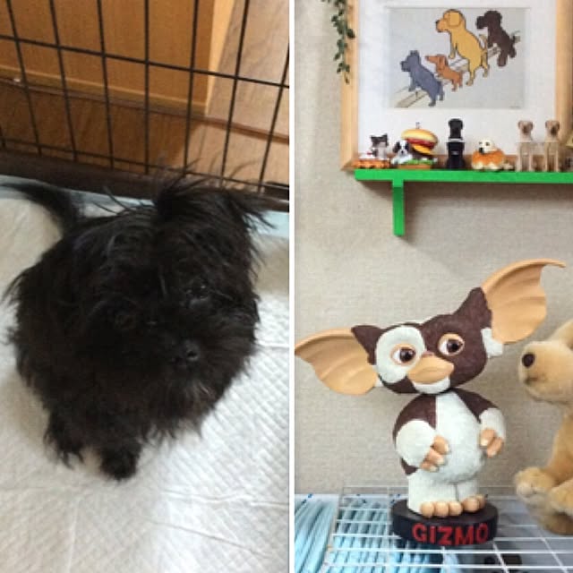 emiさんの実例写真