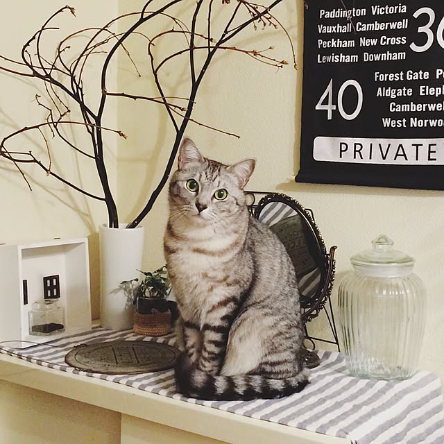 ineko_kさんの実例写真