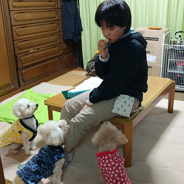 nontenrunさんの実例写真