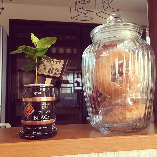 afroさんの実例写真