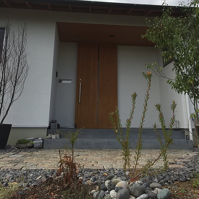 oyuribooさんの実例写真
