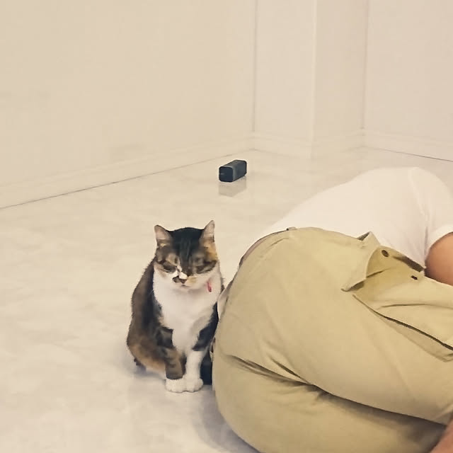 kingandqueenさんの実例写真