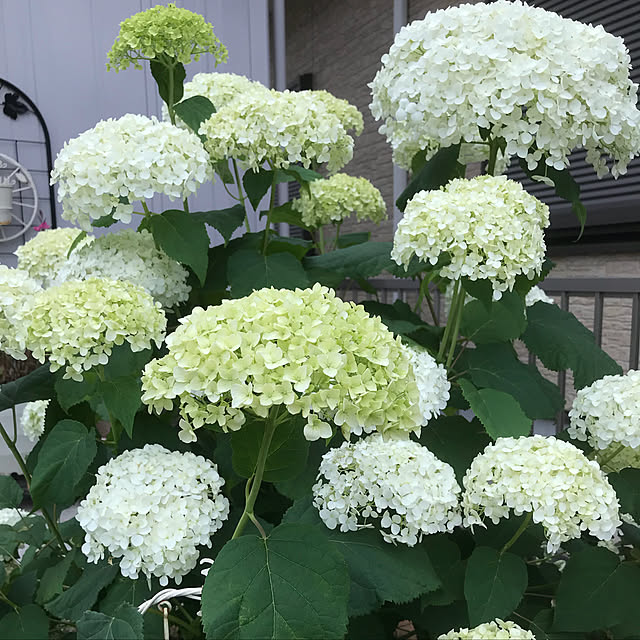 k_kさんの実例写真