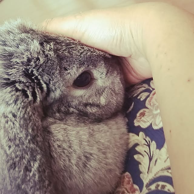 mogu0418さんの実例写真