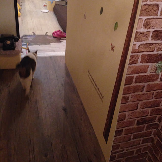 部屋全体/DIY/一人暮らしのインテリア実例 - 2018-08-30 19:17:56