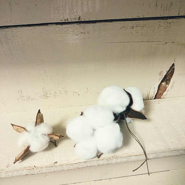 mioさんの実例写真