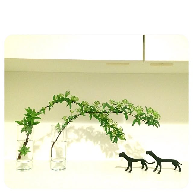 namixqtさんの実例写真