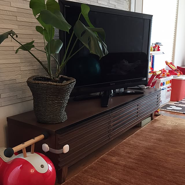 部屋全体/こどもと暮らす/観葉植物のインテリア実例 - 2017-05-12 21:42:50