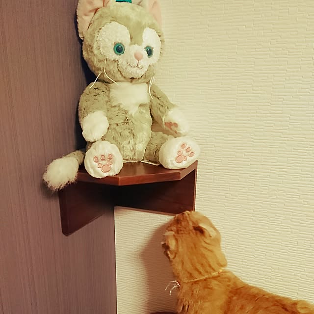 tomoさんの実例写真