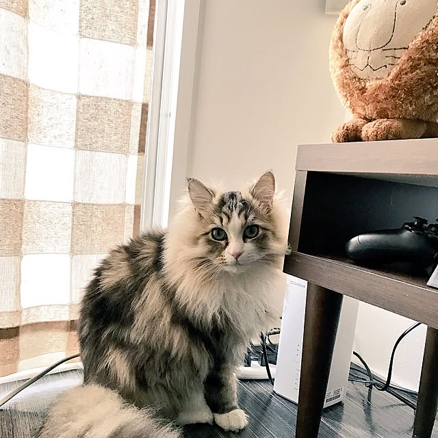 hamaaa.さんの実例写真