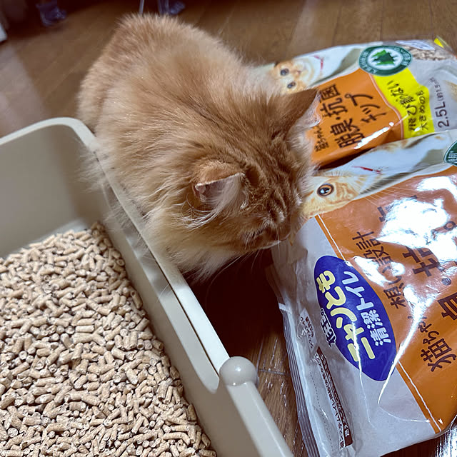HULAさんの実例写真