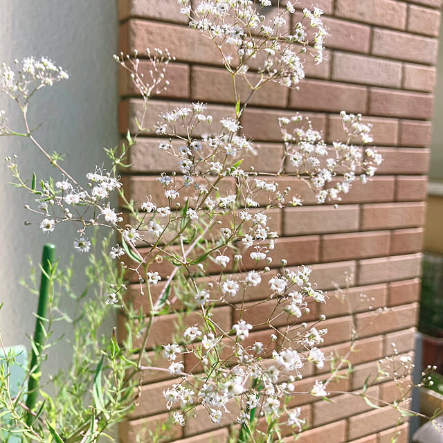 sunabaさんの部屋