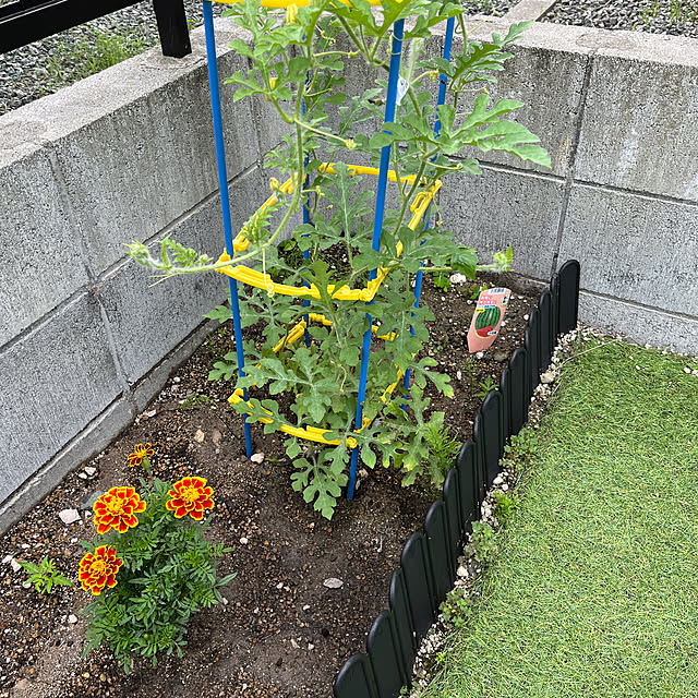 nachiさんの部屋
