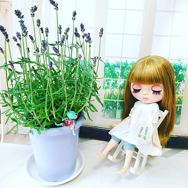 Aliceさんの実例写真