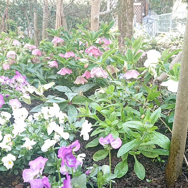 souさんの実例写真
