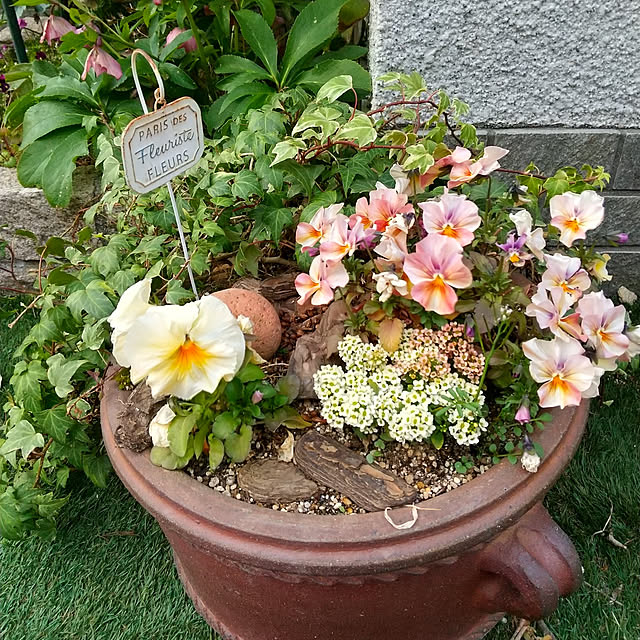 Rさんの実例写真