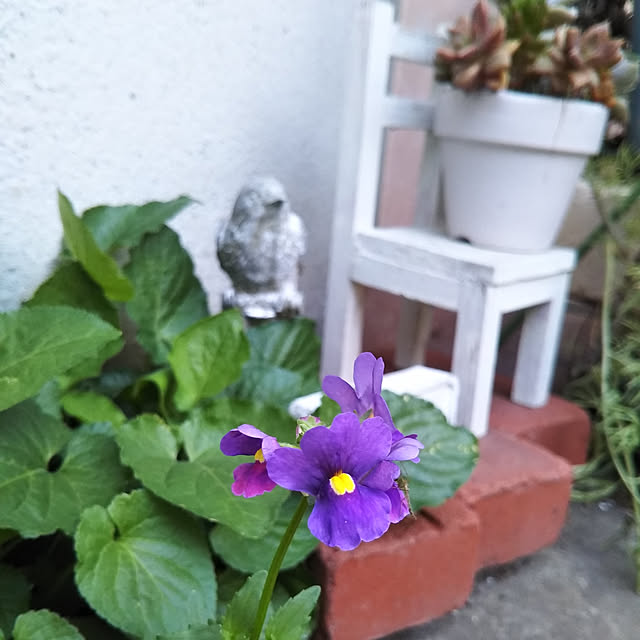 yukkoさんの実例写真