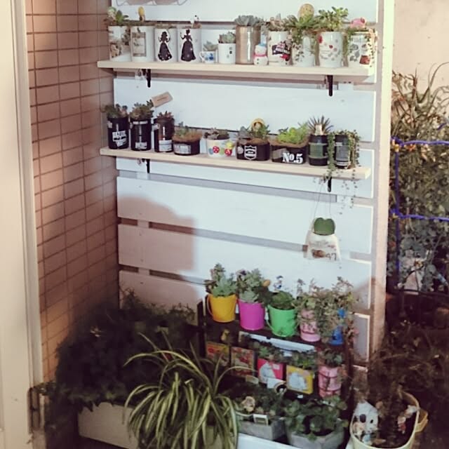 choco-mintoさんの実例写真