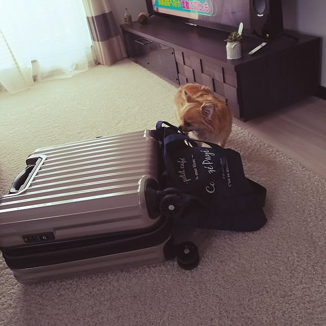kojikojiさんの実例写真
