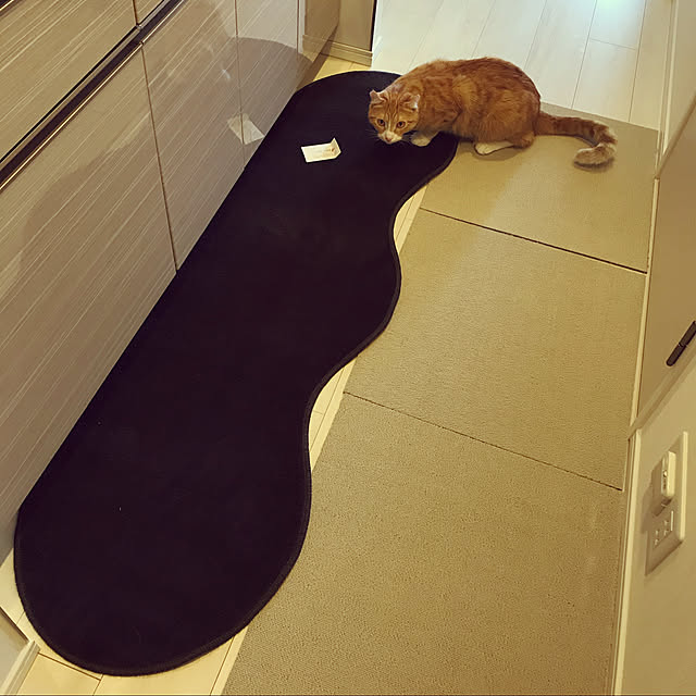 foxcave_nwさんの実例写真