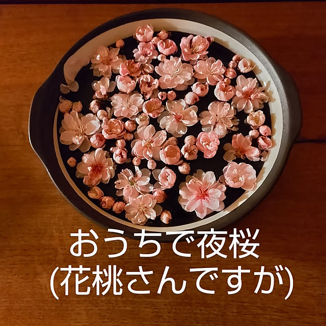 YUKOさんの実例写真