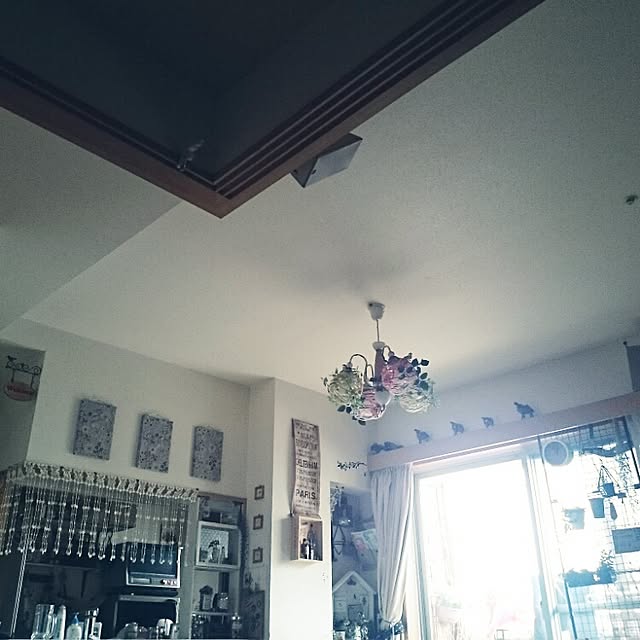 okameさんの実例写真
