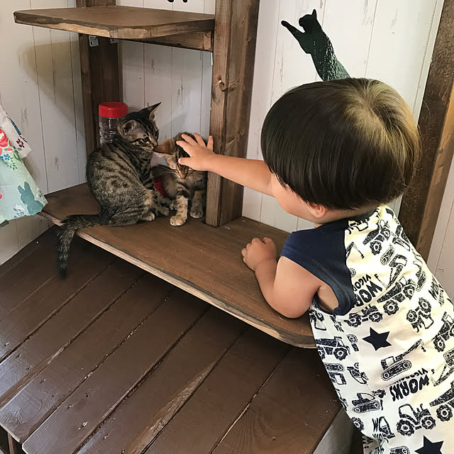 pepeさんの実例写真