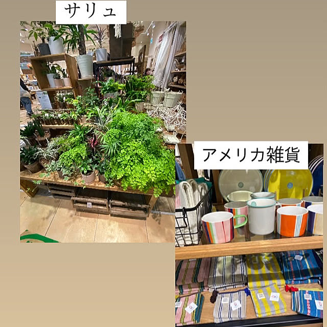 YuuKoさんの部屋