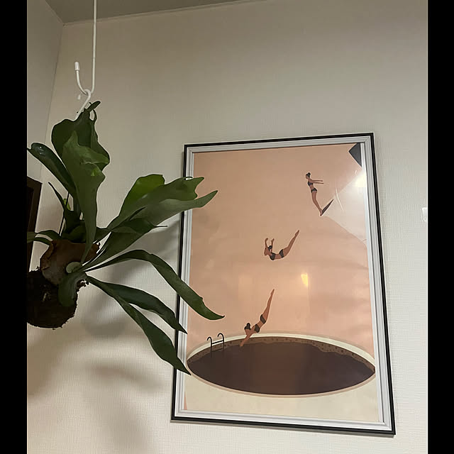 ansamさんの部屋