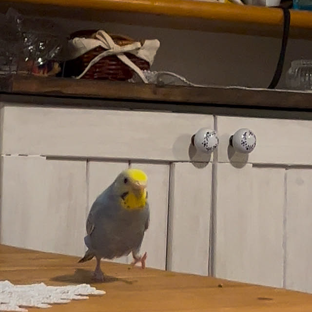 Atsukoさんの部屋