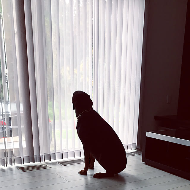 darling0826さんの実例写真