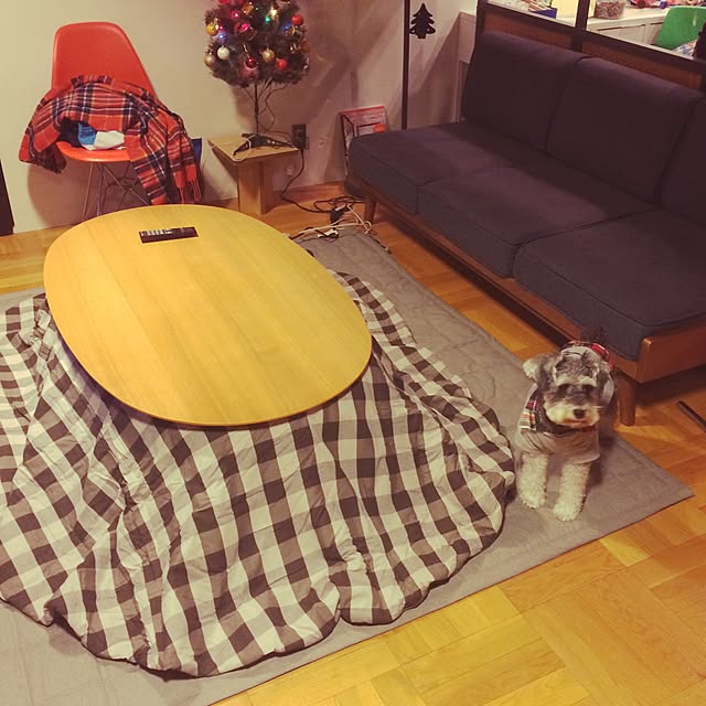 Youkiさんの実例写真