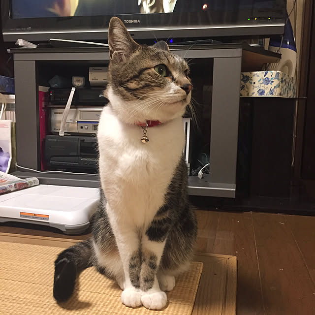 mariさんの実例写真