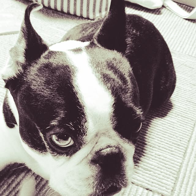 samさんの実例写真