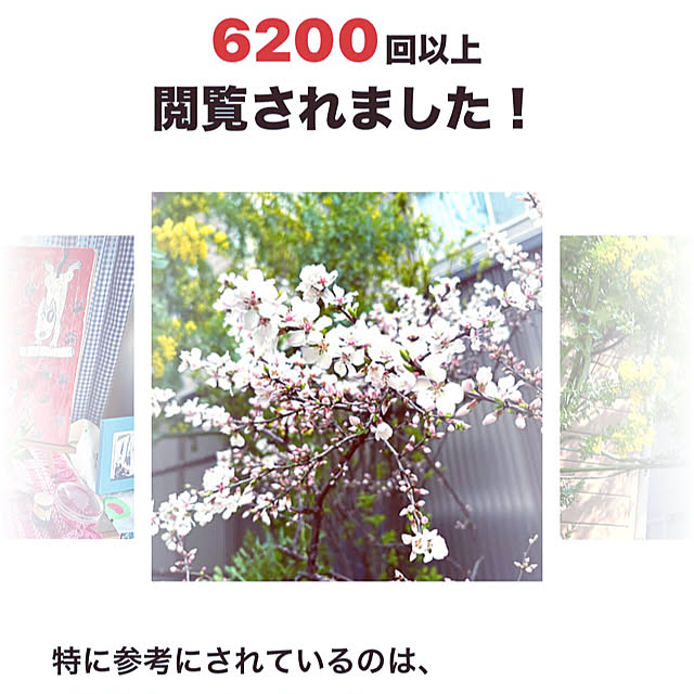 takakoさんの部屋
