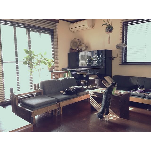 jnkaiさんの実例写真